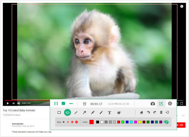 Apeaksoft Screen Recorder 2.3.8 download the new version for windows