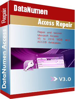 datanumen-access-repair-300.0