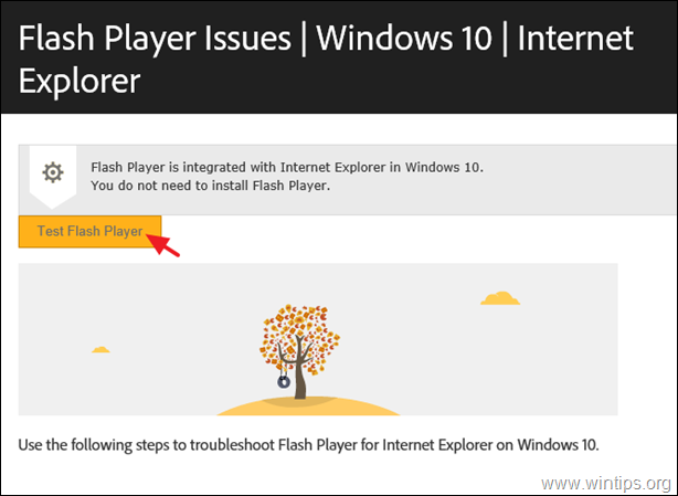 how-to-install-flash-player-on-server-2016/2019.