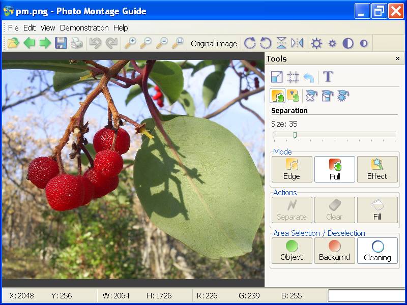 photo-montage-guide-v22.11