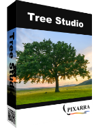 pixarra’s-twistedbrush-tree-studio-2.17