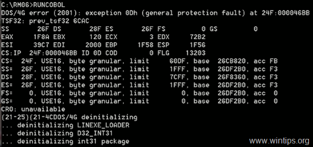 FIX: DOS/4G error (2001) exception 0Dh