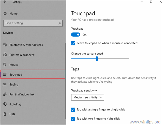 TouchPad Options Windows 10