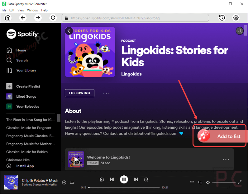 Pazu Spotify Music Converter Screenshot