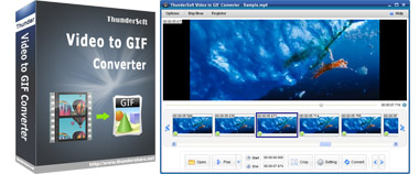 [expired]-thundersoft-video-to-gif-converter-390.0