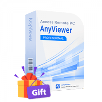 anyviewer-professional-(4-year-license)