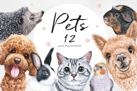 watercolor-set-pet-illustrations.-(cute-12-pets)