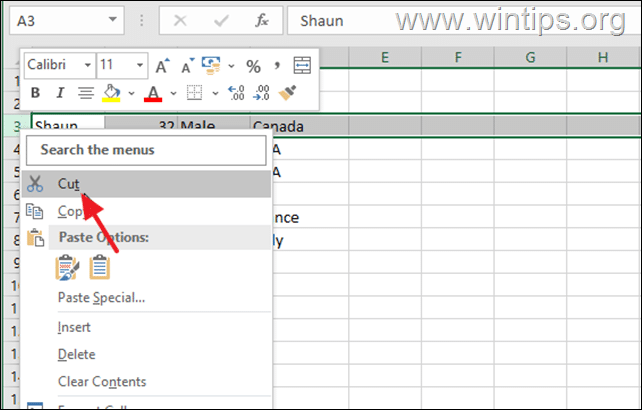 How to Copy or Move a Row in Excel
