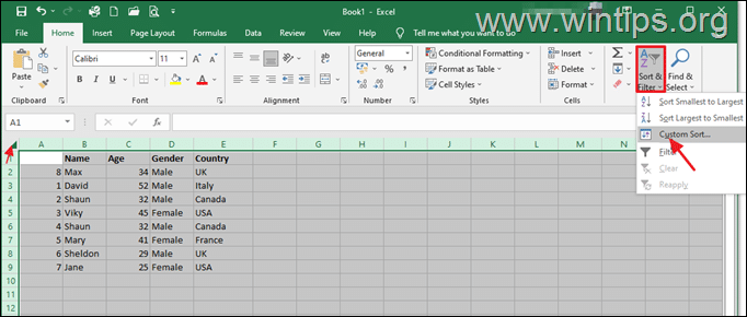 excel sort and filter