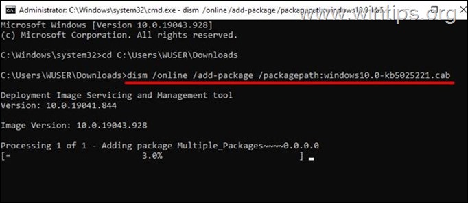 How to install CAB files with DISM on Windows 11/10 .