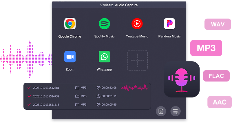 [new/update]-viwizard-audio-capture-v21.0-–-6-months